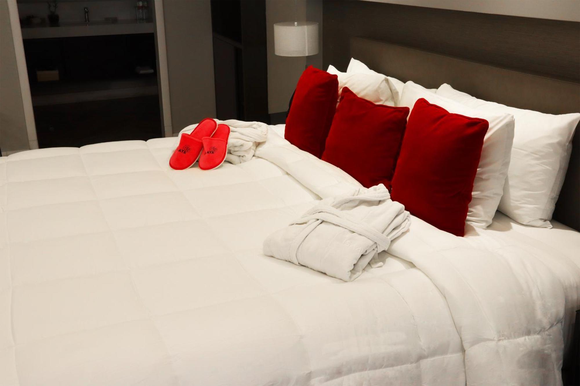 Isaaya Hotel Boutique By Wtc เม็กซิโกซิตี้ ภายนอก รูปภาพ